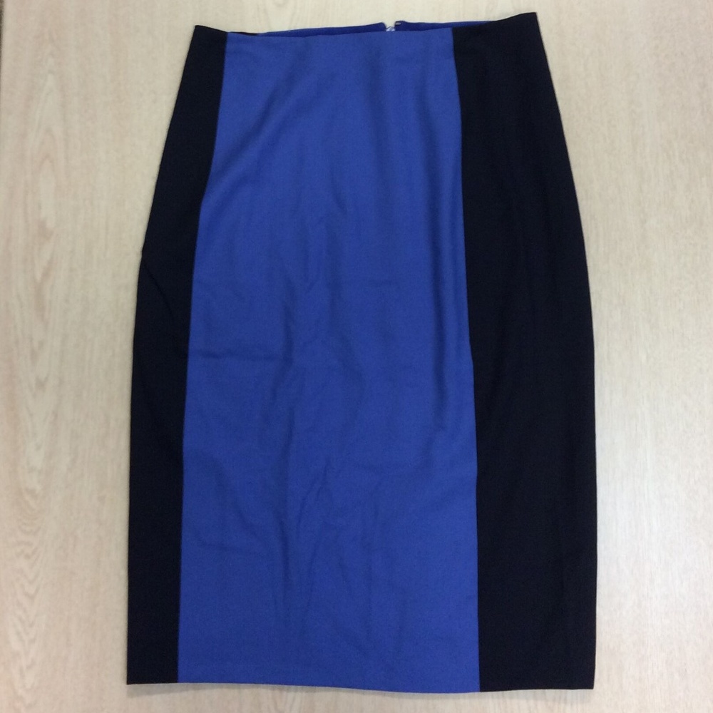 JCrew Blue Skirt